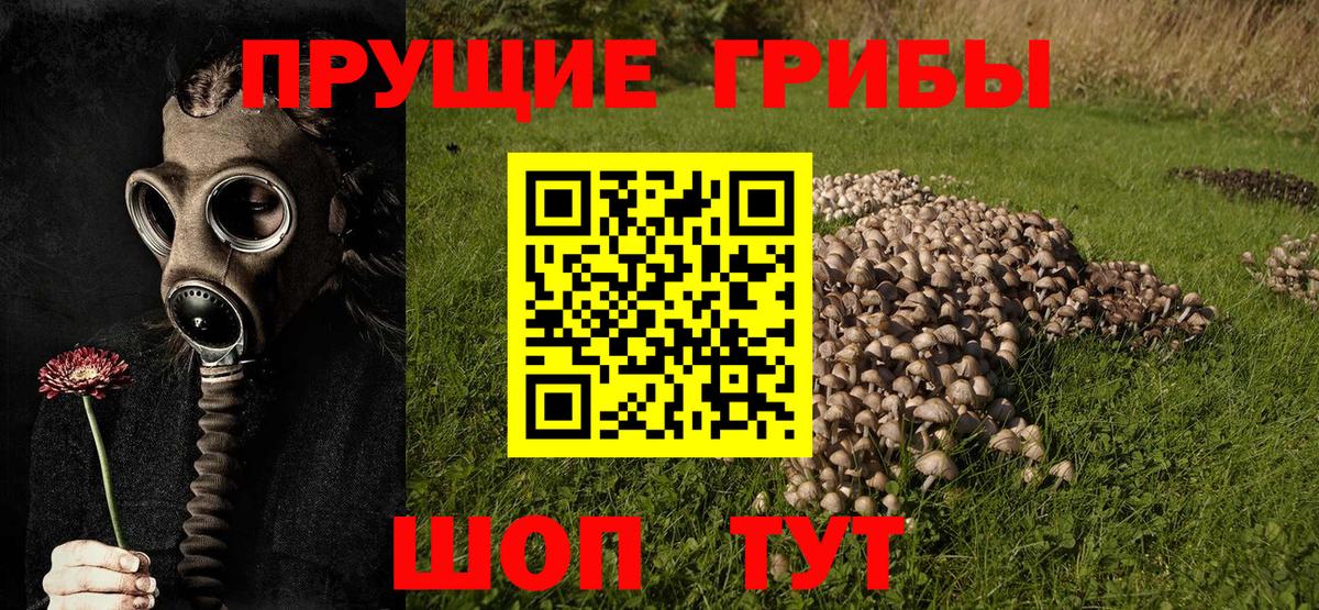 Псилоцибиновые грибы мухоморы  Вход с VPN  Миллерово 
